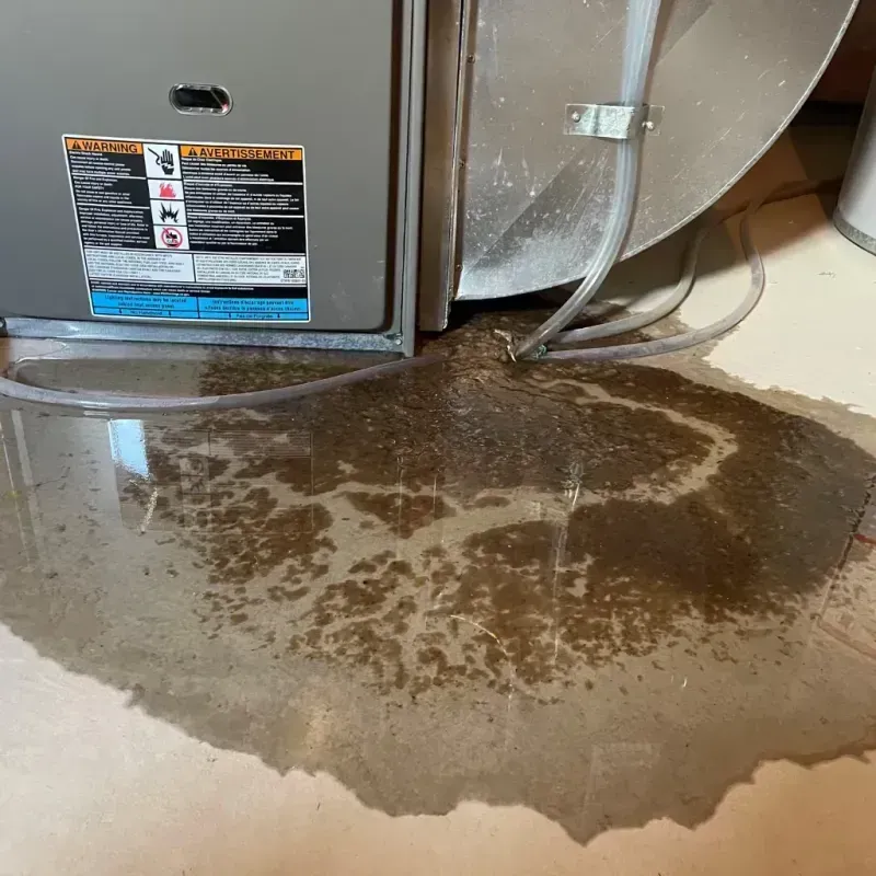 Appliance Leak Cleanup in Strawberry, CA